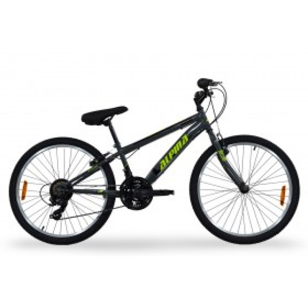 Ποδήλατο Alpina 24'' Rigid S 21T ανθρακί-Πράσινο 2026