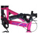 Παιδικό Ποδήλατο Alpina MTB 20''x11'' ροζ-μώβ