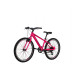 Carrera M4 2001 Rigit VB MTB 24'' Ρόζ 2026