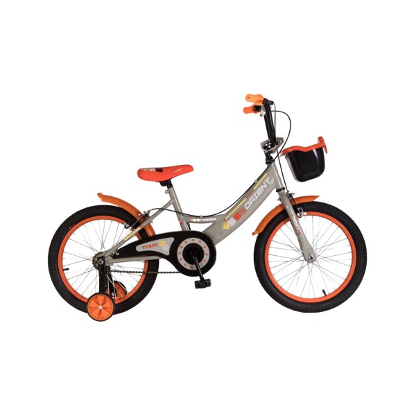 Παιδικό Ποδήλατο Orient Terry 18" Γκρί 2024