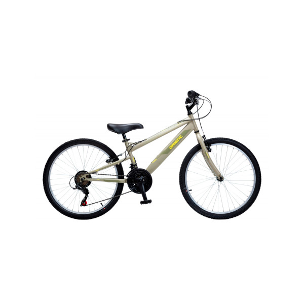 Orient Excel 24" λαδί  2025